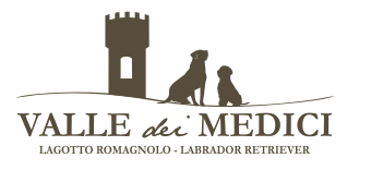 Labrador Valle dei Medici