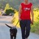 passeggiata con un Labrador